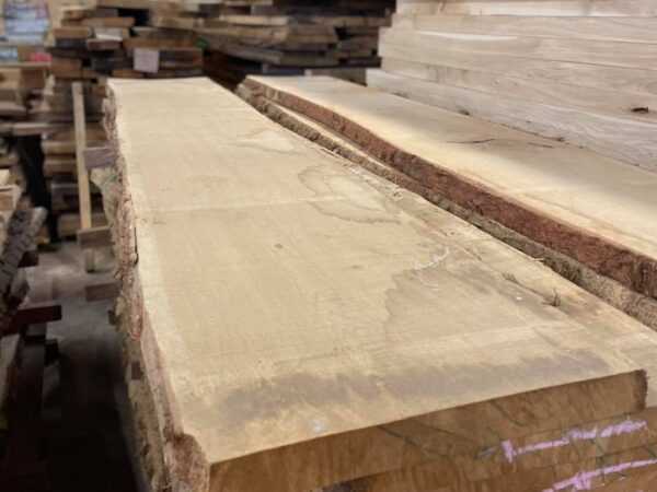 Oak Timber - Image 4