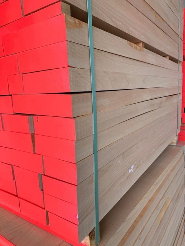 Beech Timber - Image 5