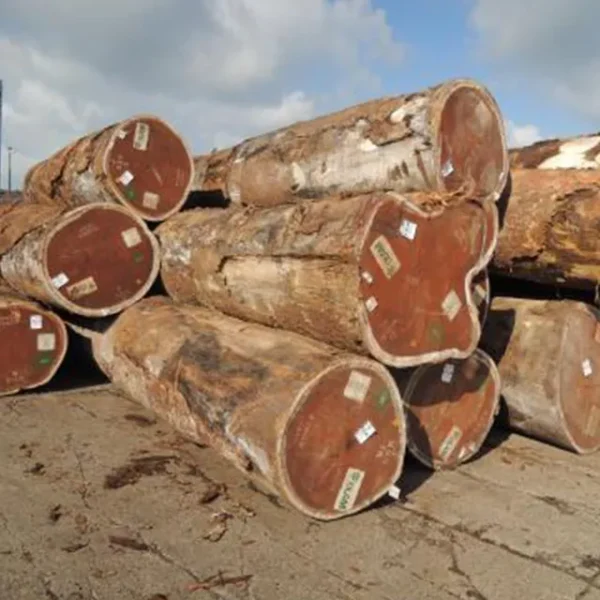 Iroko Timber