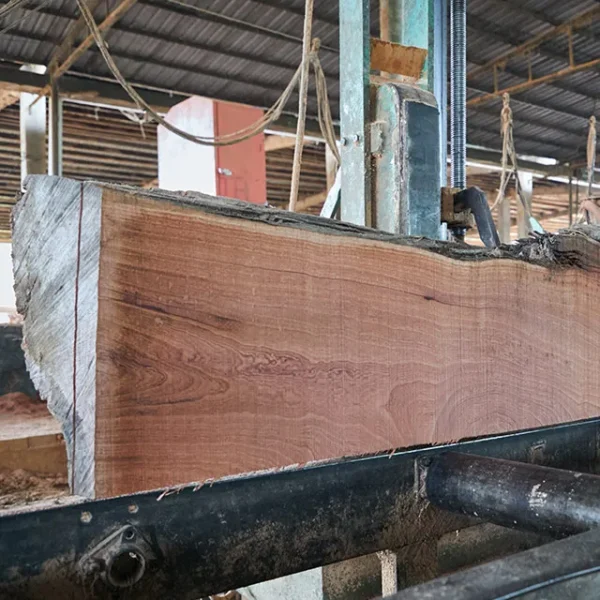 Sapelle Timber - Image 5