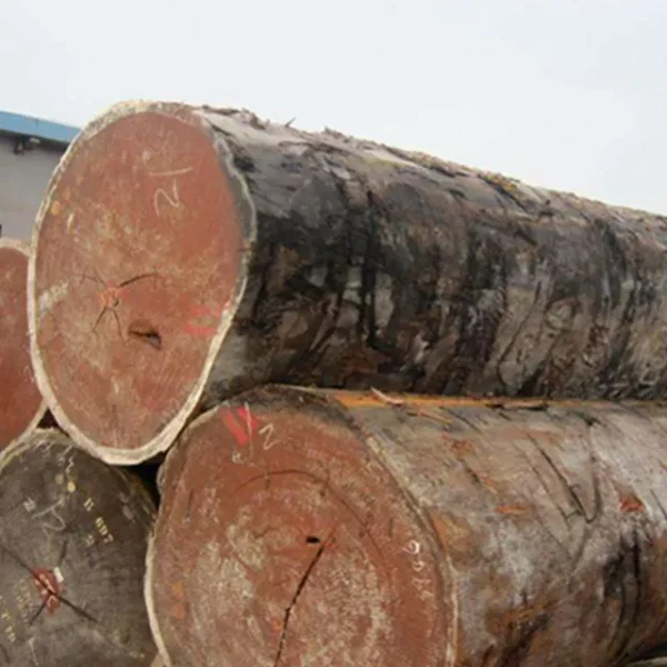Sapelle Timber - Image 4