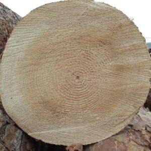 Logs